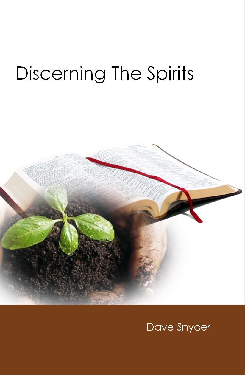 DISCERNING THE SPIRITS Dave Snyder - Click Image to Close